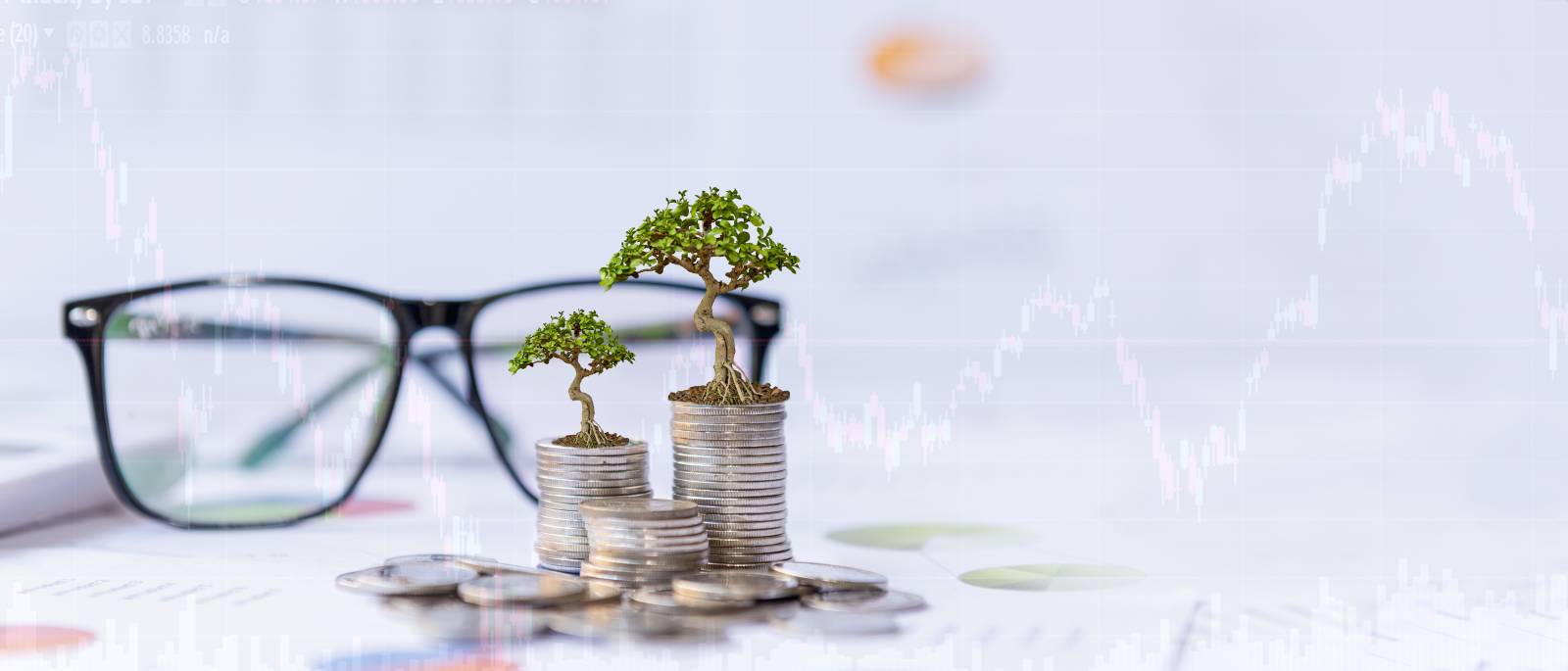 Investissement locatif pour rendement net supérieur à 7% Colomiers (31772)