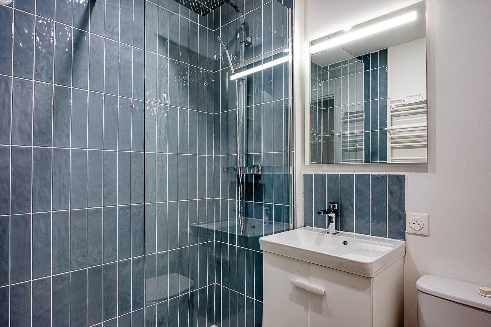 T1BIS SAINT PIERRE / TOULOUSE