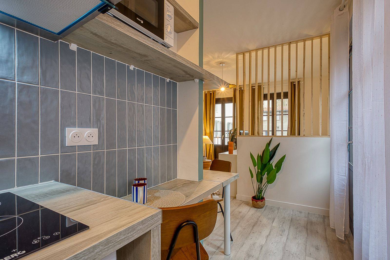 T1BIS SAINT PIERRE / TOULOUSE