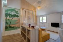 T1BIS SAINT CYPRIEN / TOULOUSE