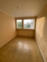 T4 EN COLOC PATTE D'OIE / TOULOUSE